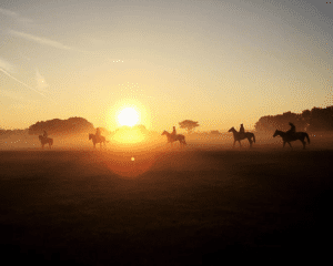 horses in sunset home page pod