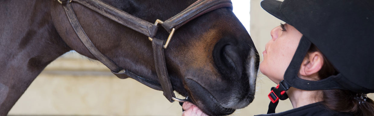 Working together on the safe disposal of your horses’ unused antibiotics