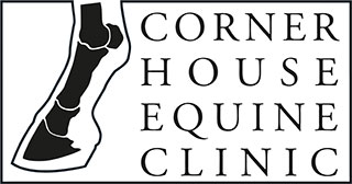 Corner House Equine Clinic