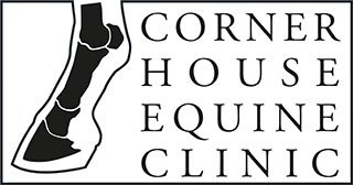 Corner House Equine Clinic logo